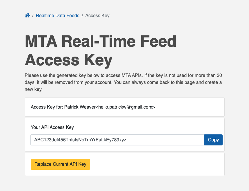 A screenshot of the API Key page